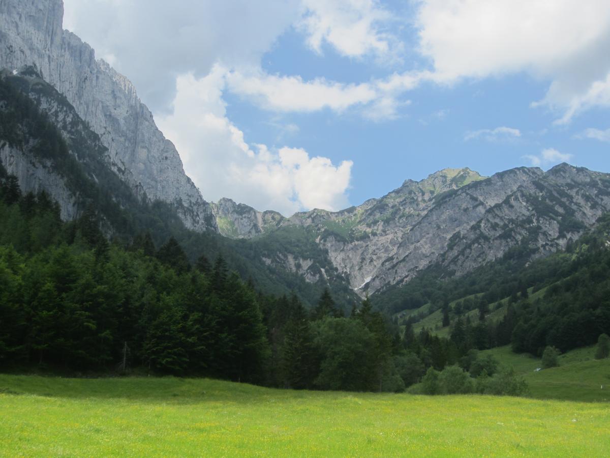 Sonnhof Reit Im Winkl Hotel Kültér fotó