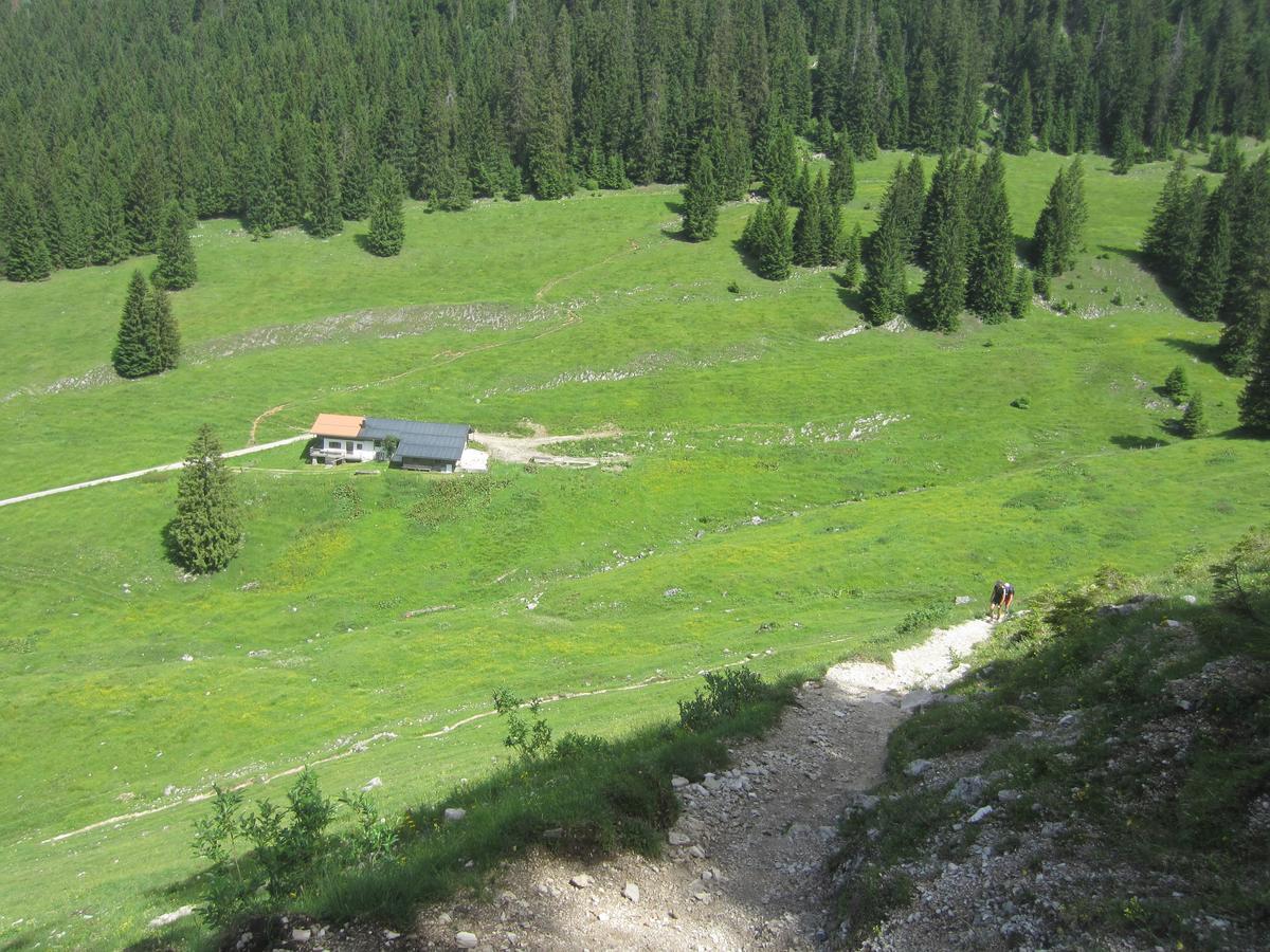 Sonnhof Reit Im Winkl Hotel Kültér fotó
