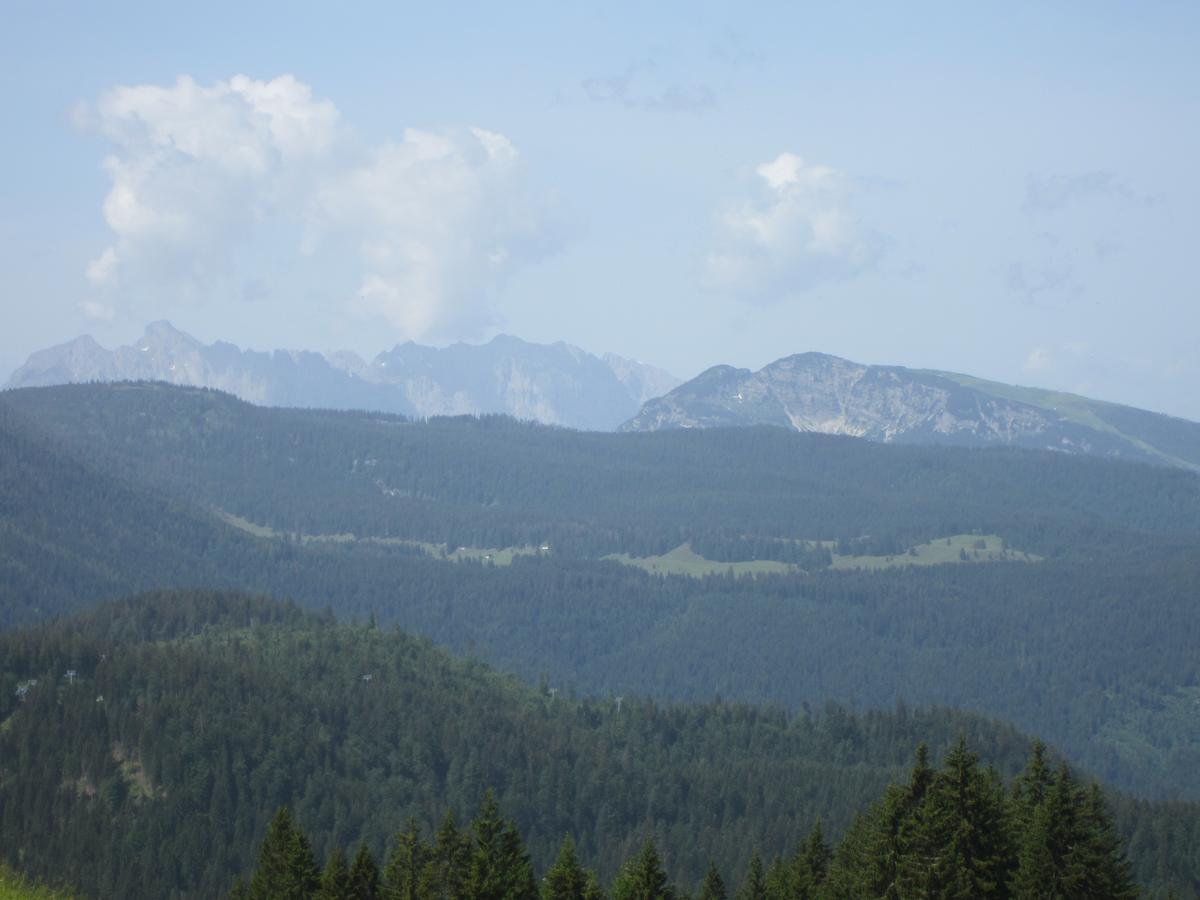 Sonnhof Reit Im Winkl Hotel Kültér fotó